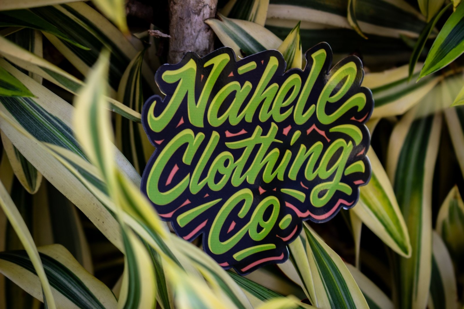 Nāhele Clothing Co. “Concrete Bloom” Sticker - Nāhele Clothing Co. - Nahele Co. - Nahele Clothing Co. - Nahele Clothing Co. logo on a plant background