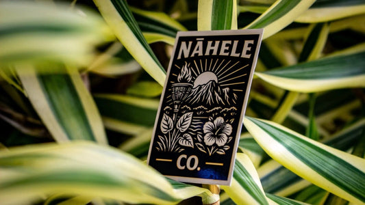 Nāhele Clothing Co. Sticker - Torch & Terrain Edition - Nāhele Clothing Co. - Nahele Co. - Nahele Clothing Co. - Nāhele Clothing Co. Sticker - Torch & Terrain Edition