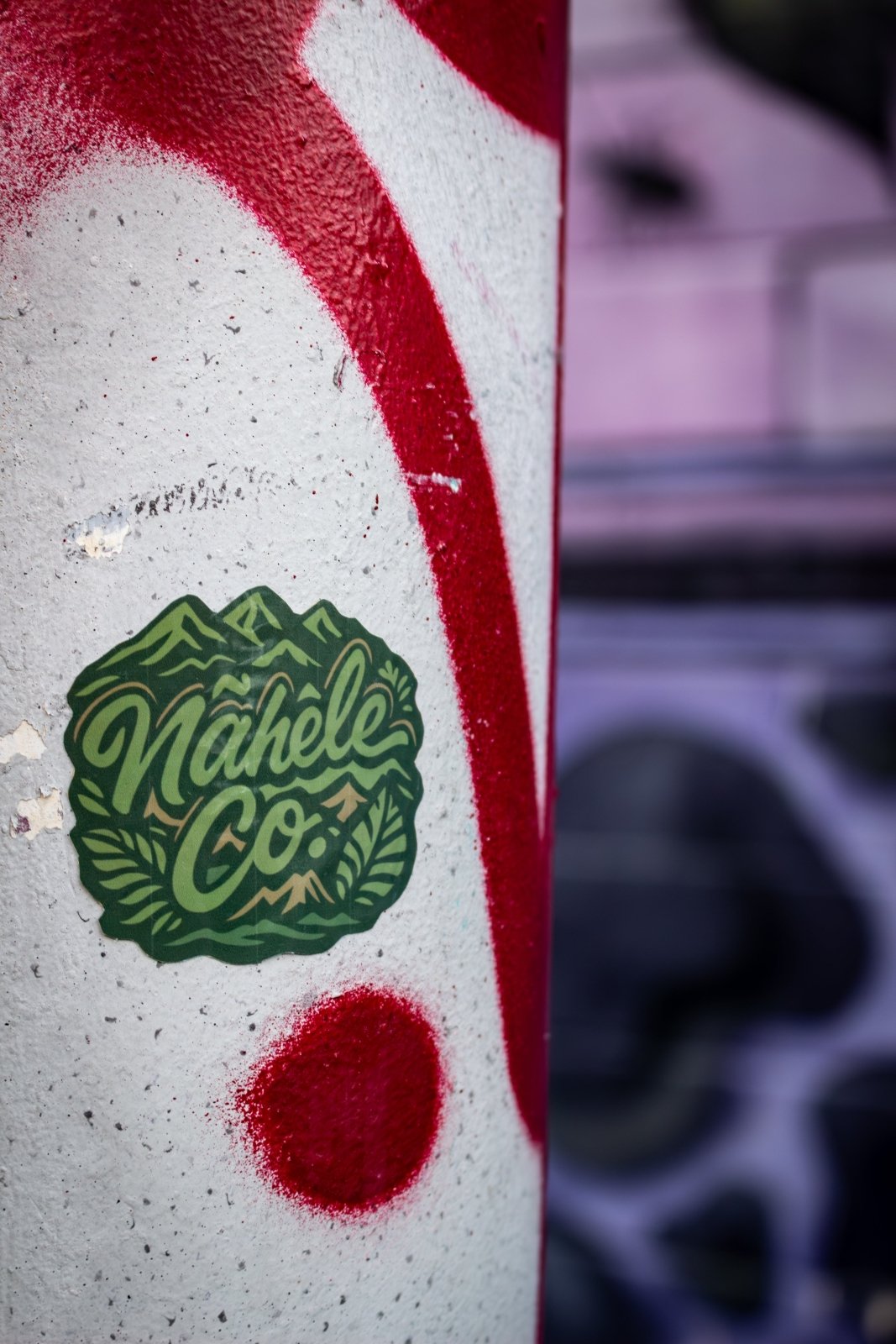 Nāhele Co. Logo Sticker – Forest Green Emblem - Nāhele Clothing Co. - Nahele Co. - Nahele Clothing Co. - Green logo with 'Nähle & Co.' text on a textured surface