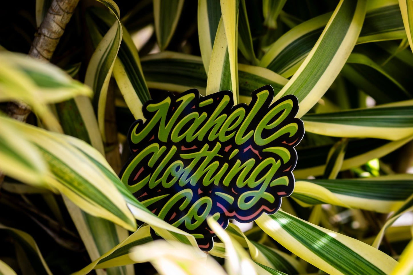 Nāhele Clothing Co. “Concrete Bloom” Sticker - Nāhele Clothing Co. - Nahele Co. - Nahele Clothing Co. - Nahele Clothing Co. logo on a plant background