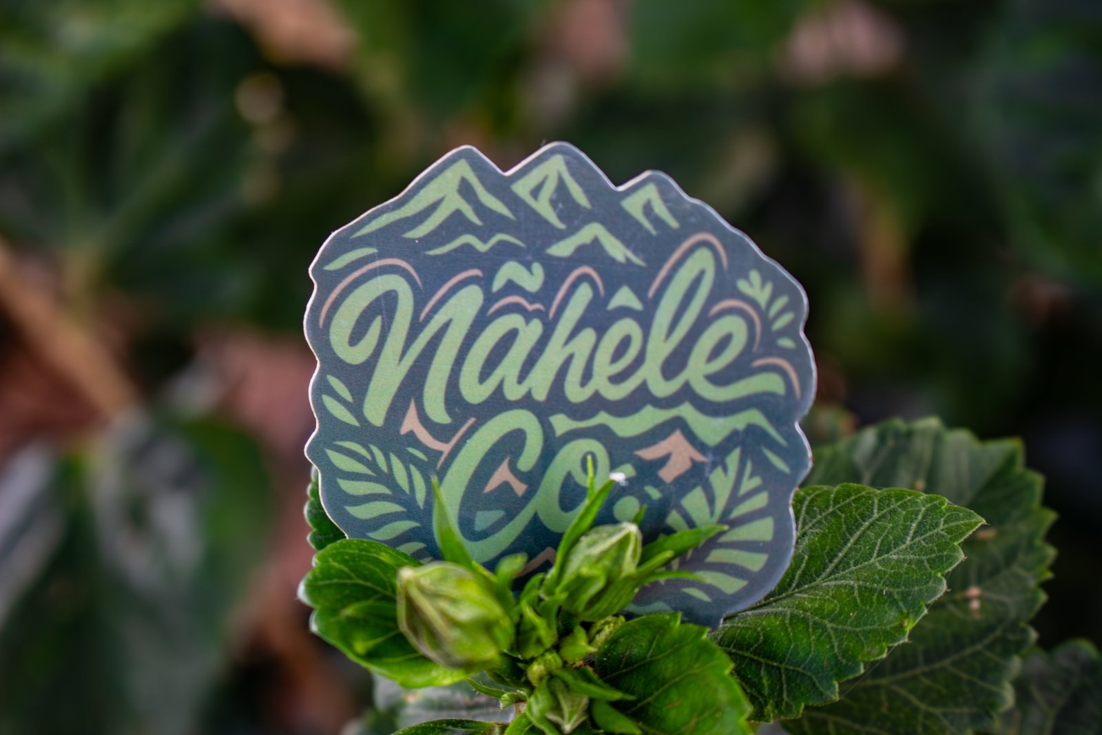 Nāhele Co. Logo Sticker – Forest Green Emblem - Nāhele Clothing Co. - Nahele Co. - Nahele Clothing Co. - Sticker with 'Nahele Co' design on a leafy background