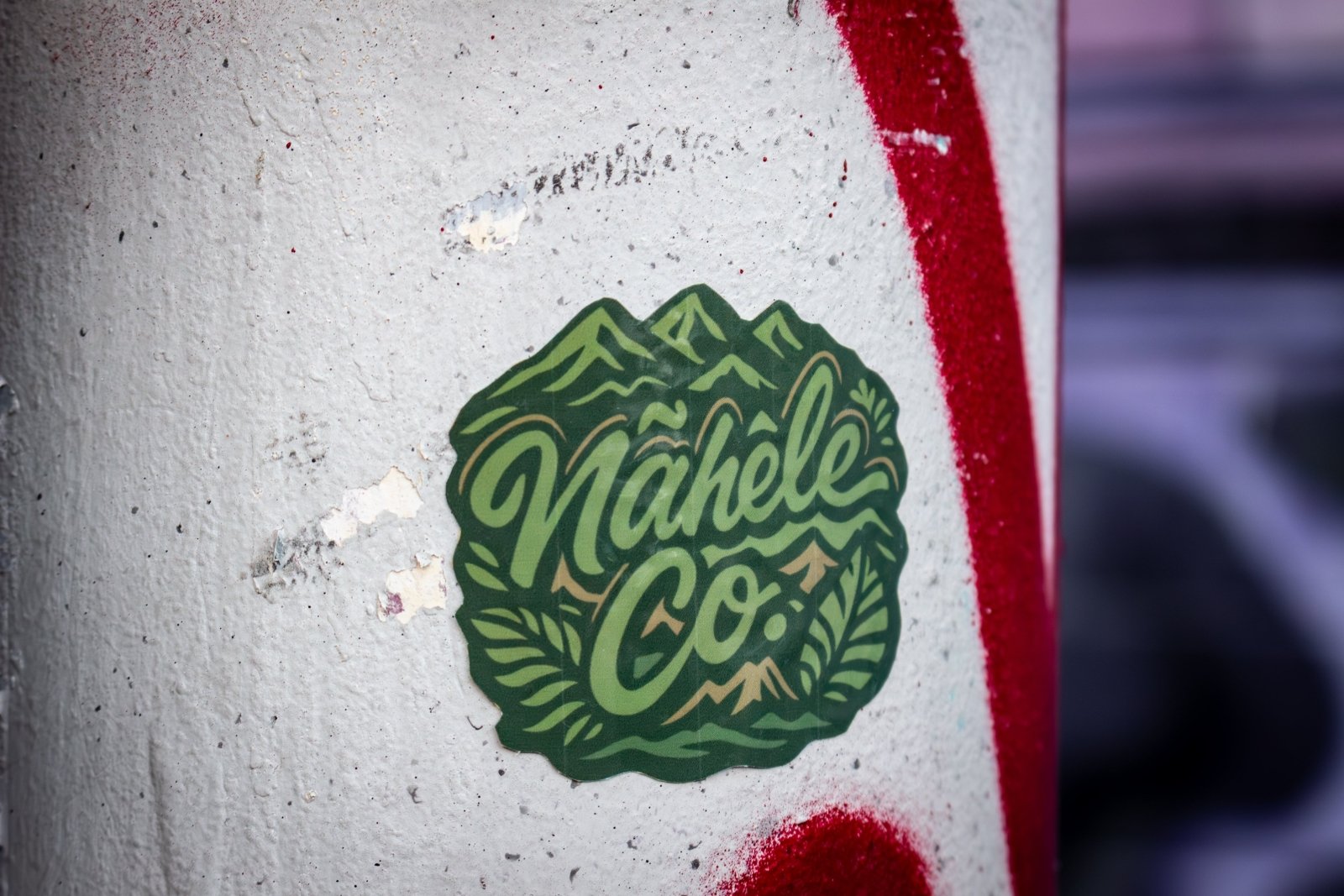 Nāhele Co. Logo Sticker – Forest Green Emblem - Nāhele Clothing Co. - Nahele Co. - Nahele Clothing Co. - Green logo with 'Nähele Co.' text on a textured surface